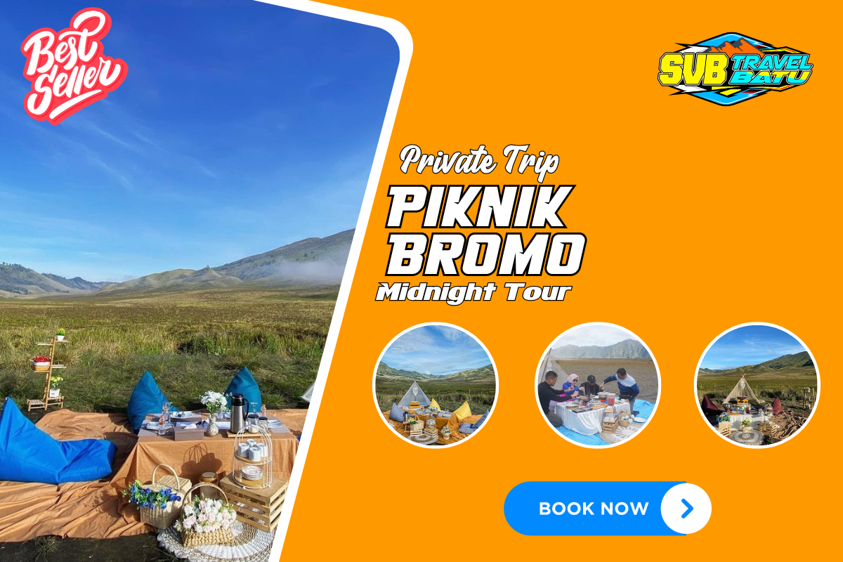 Read more about the article Paket Bromo Piknik